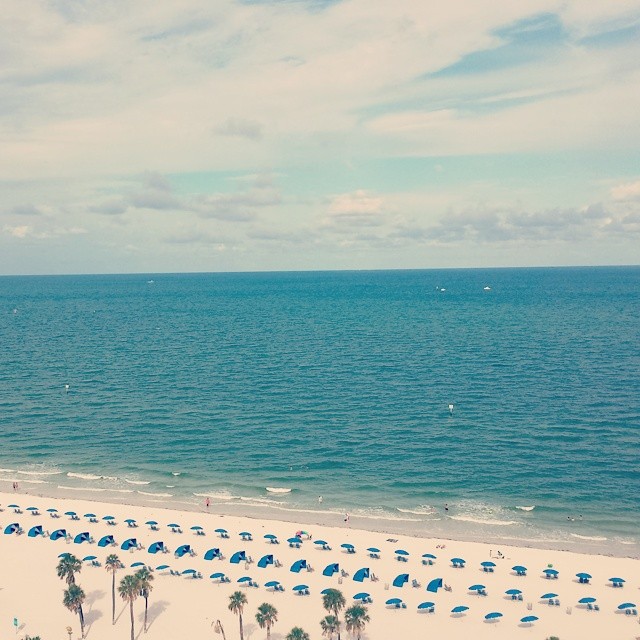 Clearwater 2014