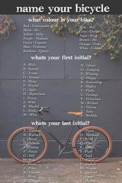 Bike name