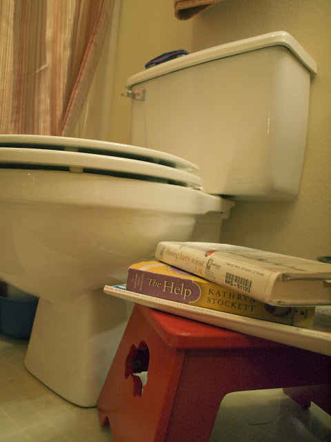 A Little Light Reading…in the Bathroom?